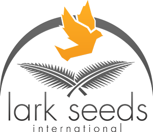 Lark Seeds International